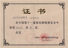 華派雕塑梅花臘梅展覽會銀獎